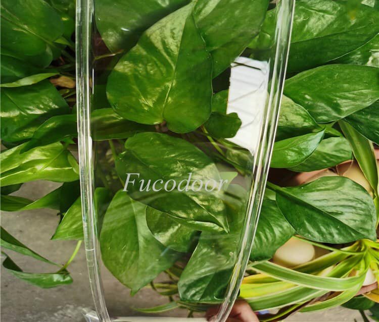 Cửa cuốn trong suốt Polycarbonate