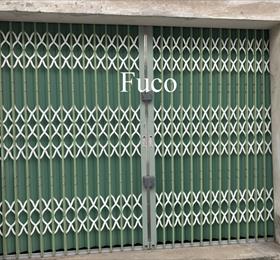 Cửa xếp U đúc thép mạ màu có lá